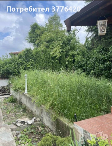 Поддръжка на тревни площи 