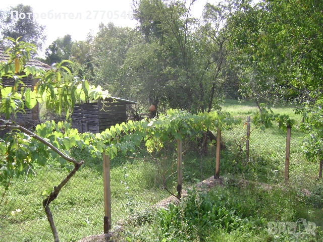 Къща до река, снимка 7 - Къщи - 52397634