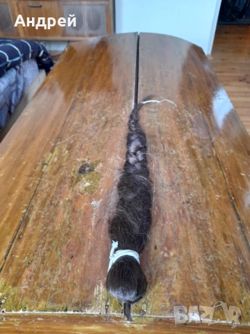 Стара естествена коса #17