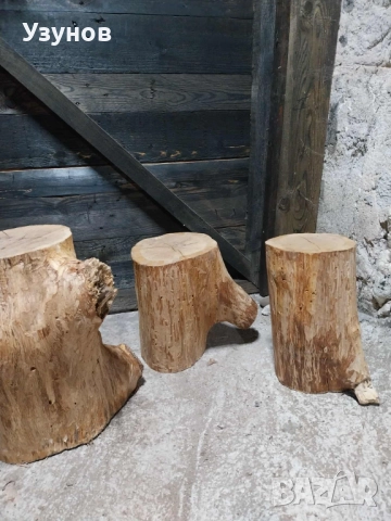  Дъбови Трупчета за месо и кокали, снимка 11 - Други - 52490951