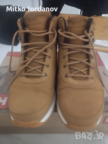 hailey hansen calgary 2