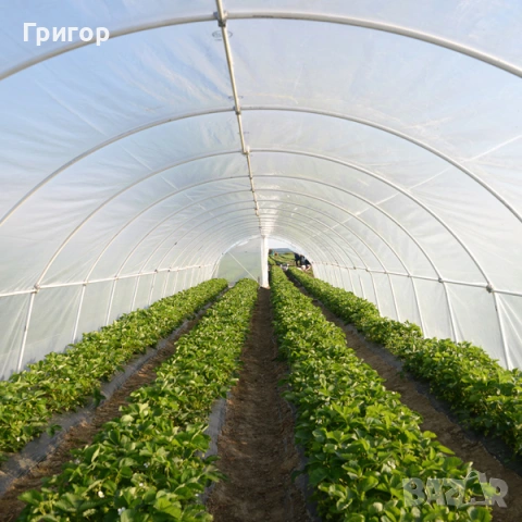 Най-здравият найлон за оранжерии на пазара, снимка 10 - Оранжерии - 53678357