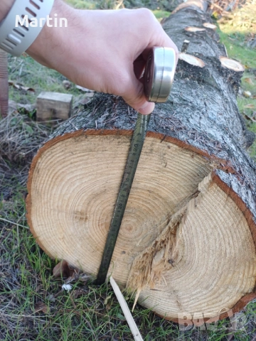 Борови трупи 3 броя - София, снимка 4 - Дърва за огрев - 52410874