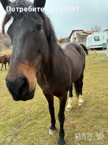 Парцел яз.Лобуш, снимка 5 - Парцели - 53562232