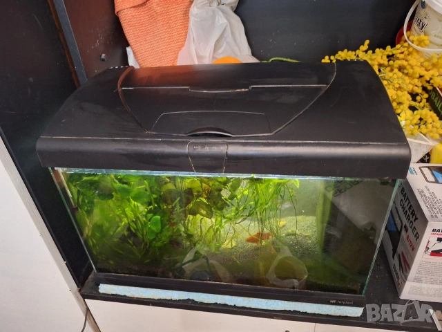 Аквариум ferplast capri 50 , снимка 2 - Аквариуми - 53052697