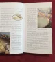 Справочник на сирената / The Cheese Companion. The Connoisseur's Guide, снимка 3