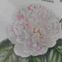 Порцелан чиния Villeroy & Boch Nicolas Liex Camellia Apertabilis Maculata 1993 23.5 см, снимка 4