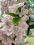 Изкуствено дърво японска вишна Sakura, снимка 6