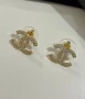 обеци от най-висок клас 
неръждаема стомана chanel , снимка 2