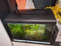 Аквариум ferplast capri 50 , снимка 2