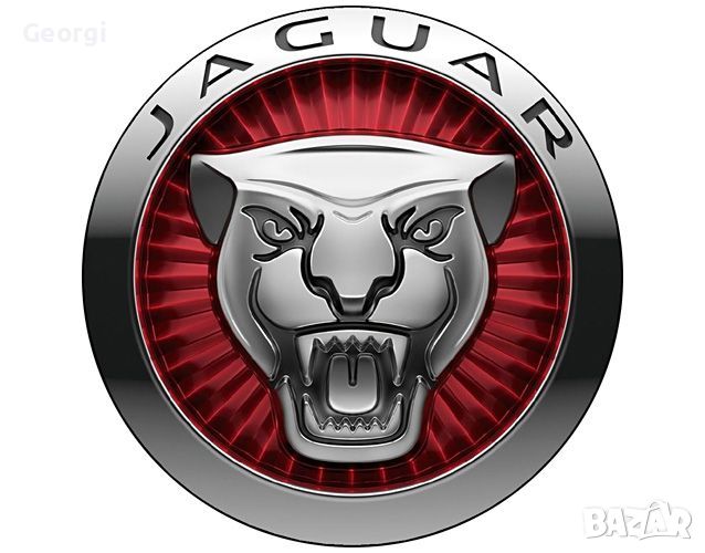 Jaguar SDD дилърска Диагностика и Кодиране, снимка 1