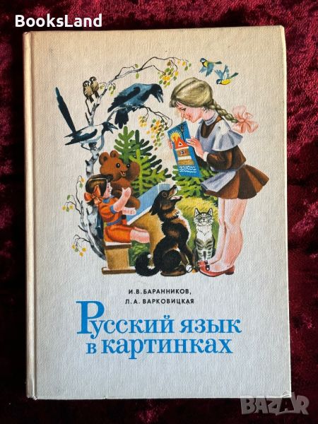 Русский язык в картинках , снимка 1