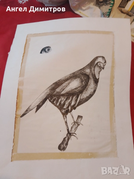 Картина суха игла , снимка 1