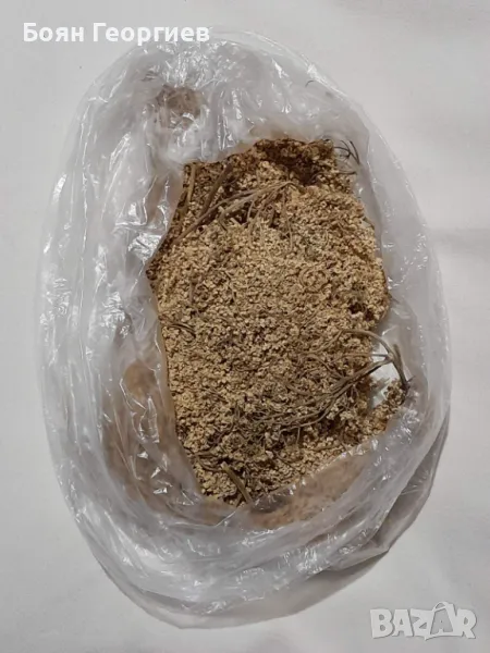 Бъз Сух Цвят Чай, снимка 1