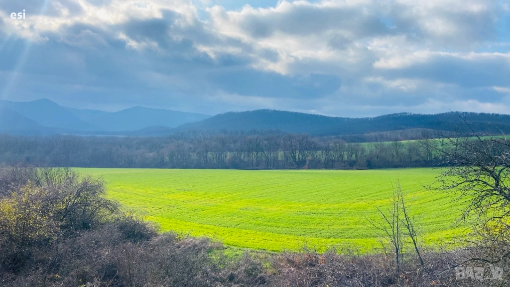 Евтина земя до яз. Цонево – гледка, вода, инвестиция, снимка 1