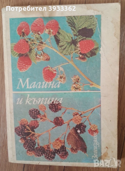 Малина и Къпина Земиздат, снимка 1