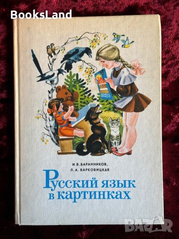 Русский язык в картинках , снимка 1 - Детски книжки - 46558756