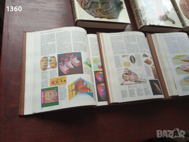 Енциклопедии , снимка 5 - Енциклопедии, справочници - 54207973