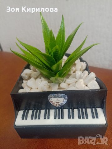 Сувенир пиано