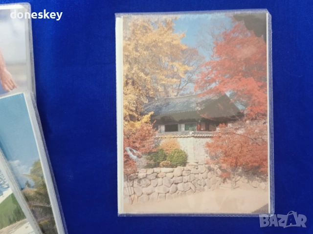 Фотоалбумчета 10 х 15 см, снимка 2 - Ученически пособия, канцеларски материали - 53066670