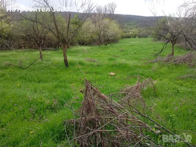 Продажба на къща , снимка 4 - Къщи - 50822928