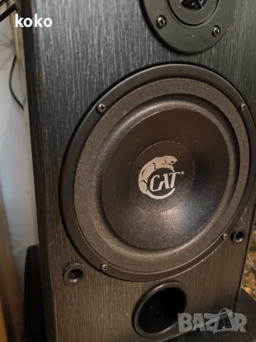 Тонколони немски Cat , снимка 2 - Тонколони - 52975202