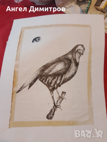 Картина суха игла , снимка 1