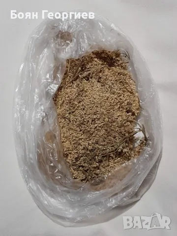 Бъз Сух Цвят Чай, снимка 1