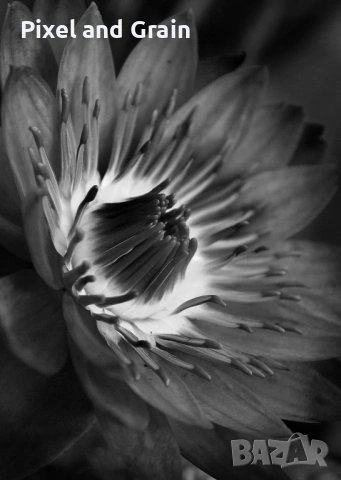 Nikon фотоапарат + два обектива и аксесоари Никон, снимка 17 - Фотоапарати - 54209007