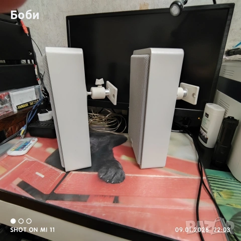 Canton Plus F, снимка 4 - Тонколони - 53055589