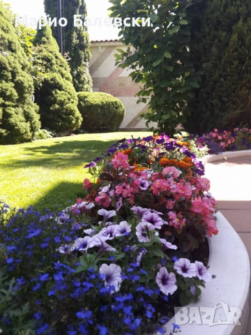 Озеленяване и поддръжка на градини , снимка 3 - Други - 53493481