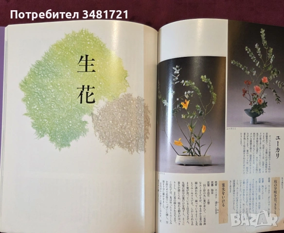 Икебана справочник - история, стилове и традиции / Ikebana, снимка 8 - Енциклопедии, справочници - 53748376