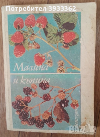 Малина и Къпина Земиздат