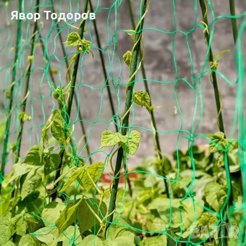 Мрежа за увивни растения и зеленчуци 1.2х20 м, Око 15х17 см , снимка 2 - Други стоки за дома - 53815230