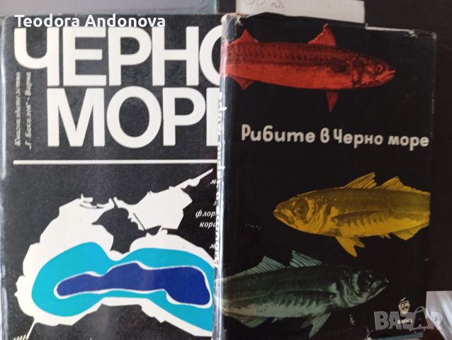 Черно море и Рибите в черно море, снимка 1 - Специализирана литература - 46242783