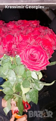 Червени рози 19 броя, снимка 1 - Градински цветя и растения - 45575419