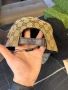 Gucci hat, снимка 4