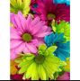 Диамантен гоблен цветя 30х40см, снимка 1 - Гоблени - 45975836
