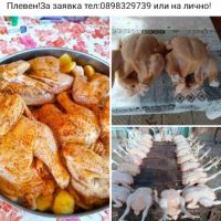 Продавам пилета бройлери , снимка 1 - Кокошки и пуйки - 45322479