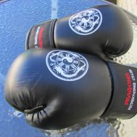 Боксови ръкавици Dragons Kickboxing Club, снимка 2 - Бокс - 45582425