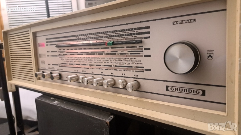 Бял Грундиг., снимка 1