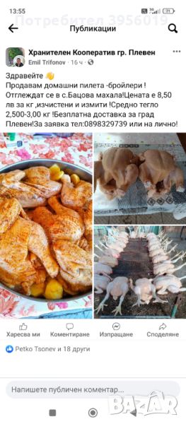 Продавам пилета бройлери , снимка 1