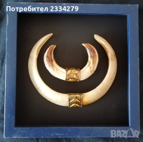 Рога от саръндаци и зъби от диво прасе, 70-80те години, снимка 14 - Колекции - 52583206