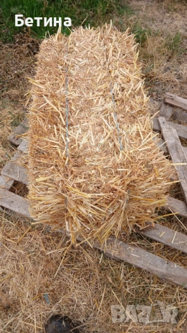 Бали от ечемик, снимка 3 - За селскостопански - 53266001