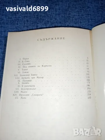 Гюстав Флобер - Саламбо , снимка 5 - Художествена литература - 47165535