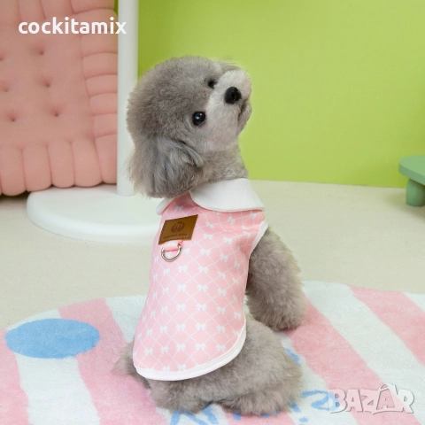 Яке за куче размер S