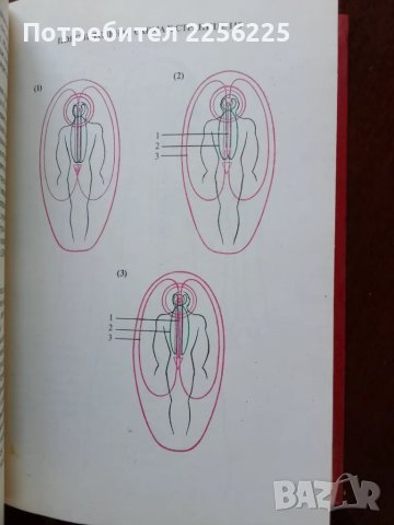 Синергетика, снимка 4 - Специализирана литература - 50250674