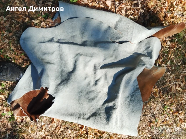 Страхотна конска кожа , снимка 2 - Колекции - 51066604