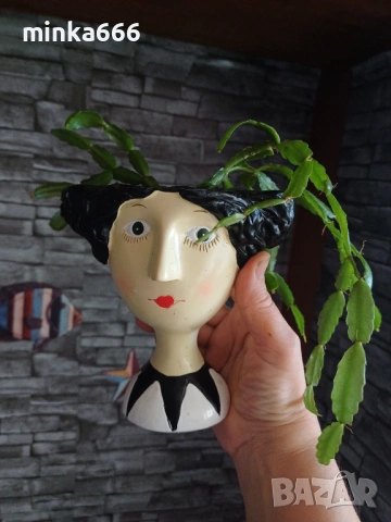 Великденче в красива саксия., снимка 2 - Стайни растения - 54119198