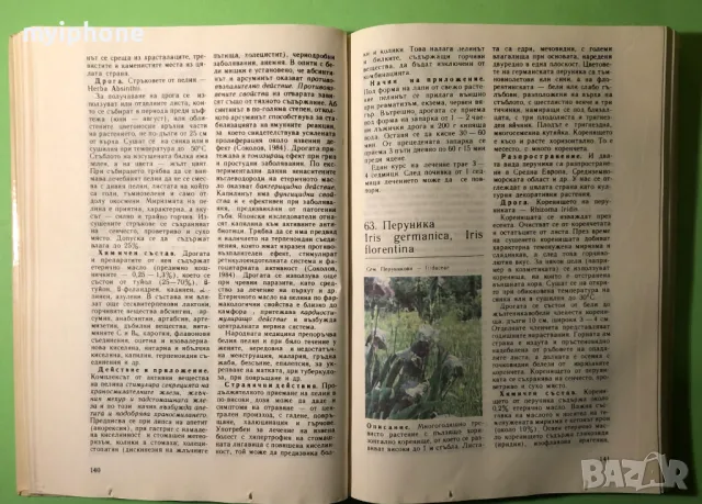 Стара Книга Природна Аптека / Д.Памуков Х.Ахтарджиев, снимка 7 - Художествена литература - 49204374